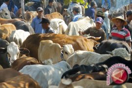 Khotib: Berkurban Merupakan Semangat Tauhid dan Pengabdian