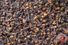 Komoditi cengkih menghilang di pasaran Kendari