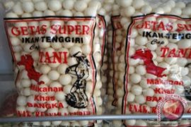 Produksi Keritcu Cantiqa, Usaha Era Meningkat Drastis Setelah Jadi Mitra Binaan PT Timah Tbk