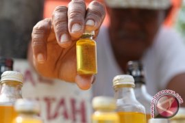 Beberapa Negara Asia Minati Bulus Kalsel