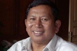 Solok Dorong Pengembangan Bunga Krisan