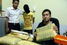 Polres Karimun Sita 3,8 Kilogram Ganja