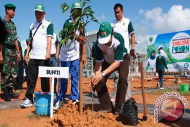 Bupati Berau Minta Pohon Yang Ditanam Dirawat