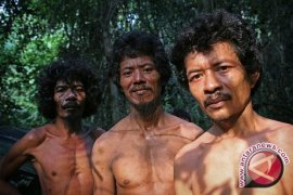 Pemkab selesaikan masalah lahan suku anak dalam 