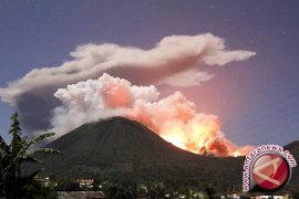 Letusan Gunung Lokon Tutupi Perkebunan Sayur 