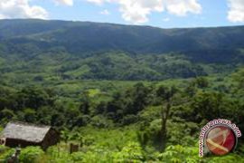 Save Meratus As Water Tower