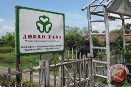 Joglo Tani didik yatim piatu jadi petani