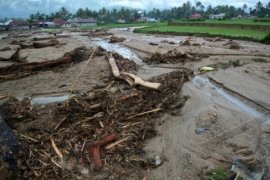 Sawah yang Puso Tidak Pengaruhi Produksi GKP
