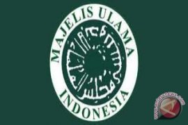 MUI: Penjual Bakso Babi Harus Diproses Hukum