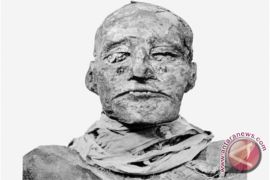  Peneliti ungkap misteri kematian Raja Mesir kuno