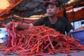 Harga Cabai Turun di Pasar Bukittinggi