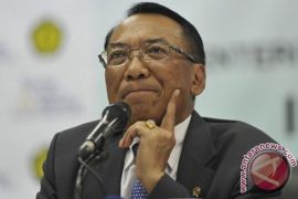 Indonesia expects investment in energy, mineral resources to rise further