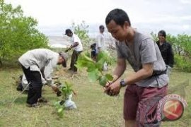 Pertamina EP Sangatta Sudah Menanam 16.500 Pohon 