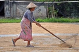 JEMUR GABAH Page 1 Small