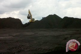 25 Ribu Pekerja Tambang Terancam 
