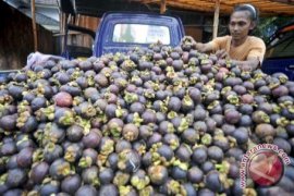 Indonesia minta Tiongkok transparan soal manggis