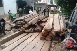 UPP Baubau pastikan kayu masuk pelabuhan miliki dokumen