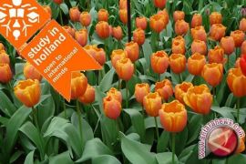  Orange Tulip tawarkan beasiswa ke Belanda