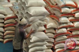 Gorontalo Utara Target Produksi Beras 10 Ton/hektare 