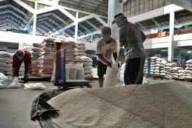 Panen Raya, Harga Beras di Semarang Berangsur Turun