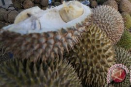 Petani diimbau tidak jual durian sistem ijon 