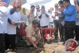 Kemenpera Bangun 500 Unit Rumah Bersubsidi 