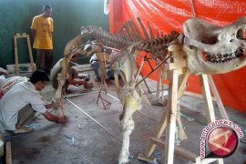 Jumlah Badak Jawa di Ujung Kulon Jadi 55