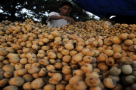 KHASIAT BUAH LANGSAT Page 1 Small