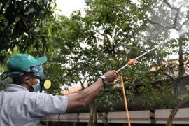 PENYEMPROTAN ULAT BULU