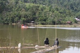 Pemkab Tebar Bibit Ikan di Danau Tarusan Kamang