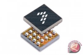 Prosesor terkecil di dunia untuk ditelan