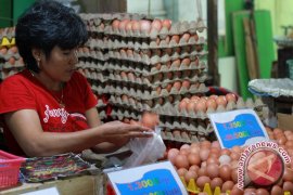 Stok Melimpah Harga Telur Ayam Gorontalo Turun 