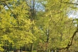 Taman Keukenhof di Belanda yang Termasyur di Seluruh Dunia akan Dibuka pada Tanggal 21 Maret