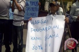 Ratusan Honorer Bombana Minta Diloloskan Jadi PNS