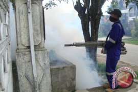 Dua Bayi Meninggal Akibat DBD di Balikpapan 