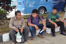 Pemkot Pariaman Melarang Masyarakat Jual Telur Penyu