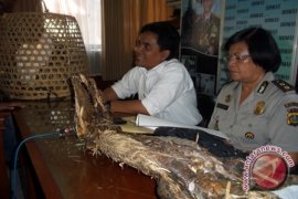 Polisi Amankan Hewan Langka