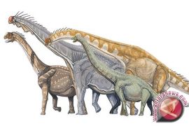 Dinasourus musnah oleh komet, bukan asteroid