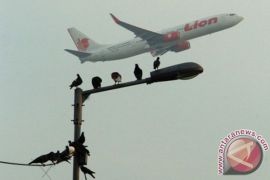 Penggiat konservasi jelaskan strategi tekan risiko "bird strike"