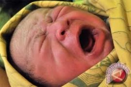 Makanan padat untuk bayi bisa picu diabetes