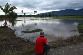 SAWAH TERENDAM BANJIR Page 1 Small