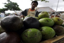 KHASIAT BUAH ALPUKAT