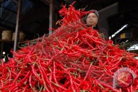 Biaya Produksi Cabai di Babel Rp86,74 Juta