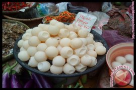 Telur Penyu Dijual Bebas 