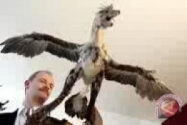 Dinosaurus Terbang Bisa Nyelam Tangkap Ikan