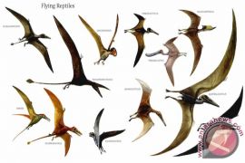 Dinosaurus terbang bisa tangkap ikan