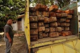 Polsek Ampek Nagari Amankan Truk Bermuatan Kayu