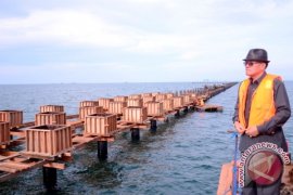 Pelabuhan Kenyamukan Perlu Minimal Rp50 Miliar