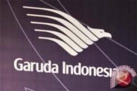 Garuda Minat Bangun Pusat Perawatan Pesawat di Batam