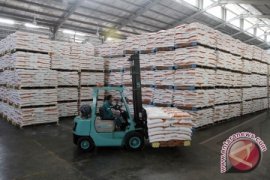 Pemkab Minta Pengusaha Segera Bangun Pabrik Tapioka